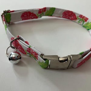 Raspberries Kittenplay Collar