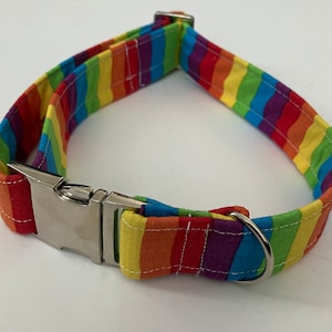 Rainbow Petplay Collar