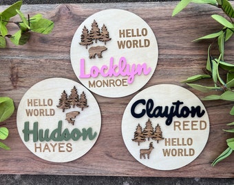 Baby Announcement Sign, Birth Announcement Sign, Birth Stat Sign, Baby Gift Items, Personalized Baby Name Sign, National Park Sign Inspired