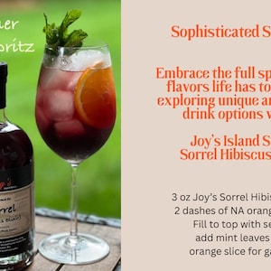 Joy's Island Spice Jamaican Sorrel Hibiscus Elixir /Award-Winning NonAlcoholic Botanical Aperitif/ Mocktail Mixer /Caribbean Hibiscus Ginger image 4