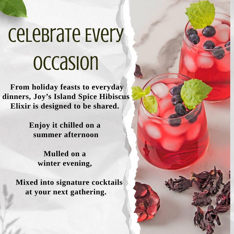 Joy's Island Spice Jamaican Sorrel Hibiscus Elixir /Award-Winning NonAlcoholic Botanical Aperitif/ Mocktail Mixer /Caribbean Hibiscus Ginger image 9