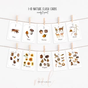 Cartes-éclair de comptage inspirées de la nature 1-10 | Reconnaissance des nombres Montessori | Imprimables d'apprentissage préscolaire