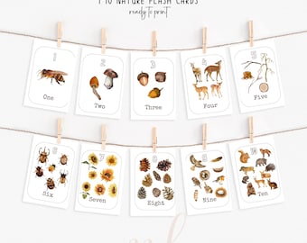 Nature-Inspired Counting Flashcards 1-10 | Montessori Number Recognition | Preschool Learning Printables