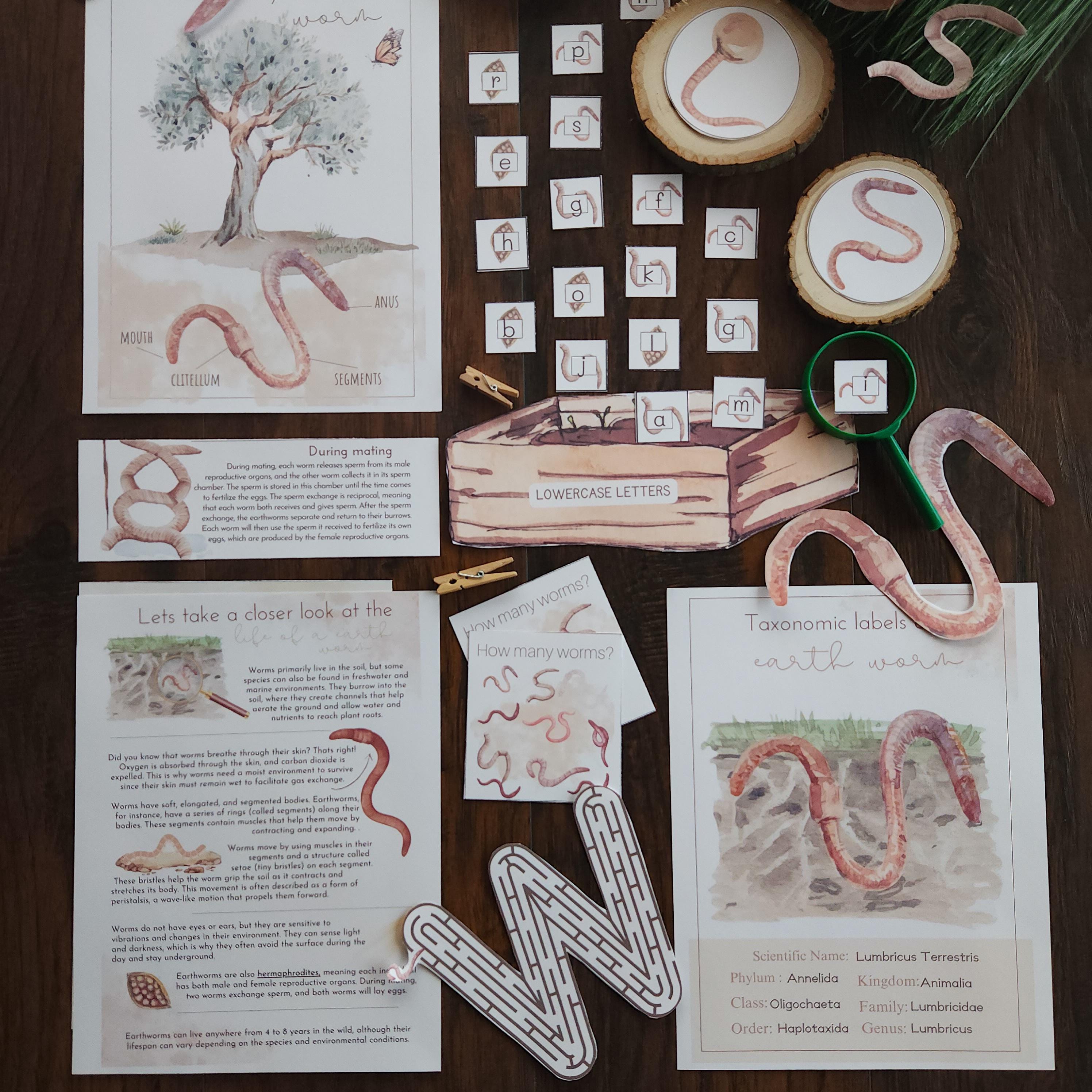 Worm Unit Study Printable Pack: Earthworm Anatomy, Life Cycle ...