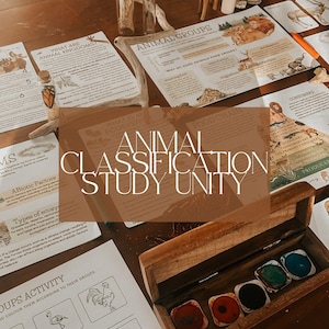 May include: An educational set for animal classification. The image features printed study sheets with text and illustrations, including "Animal Groups" and "Food Chain." A wooden box with colourful paint is also visible, along with a glass vial with a butterfly inside.
