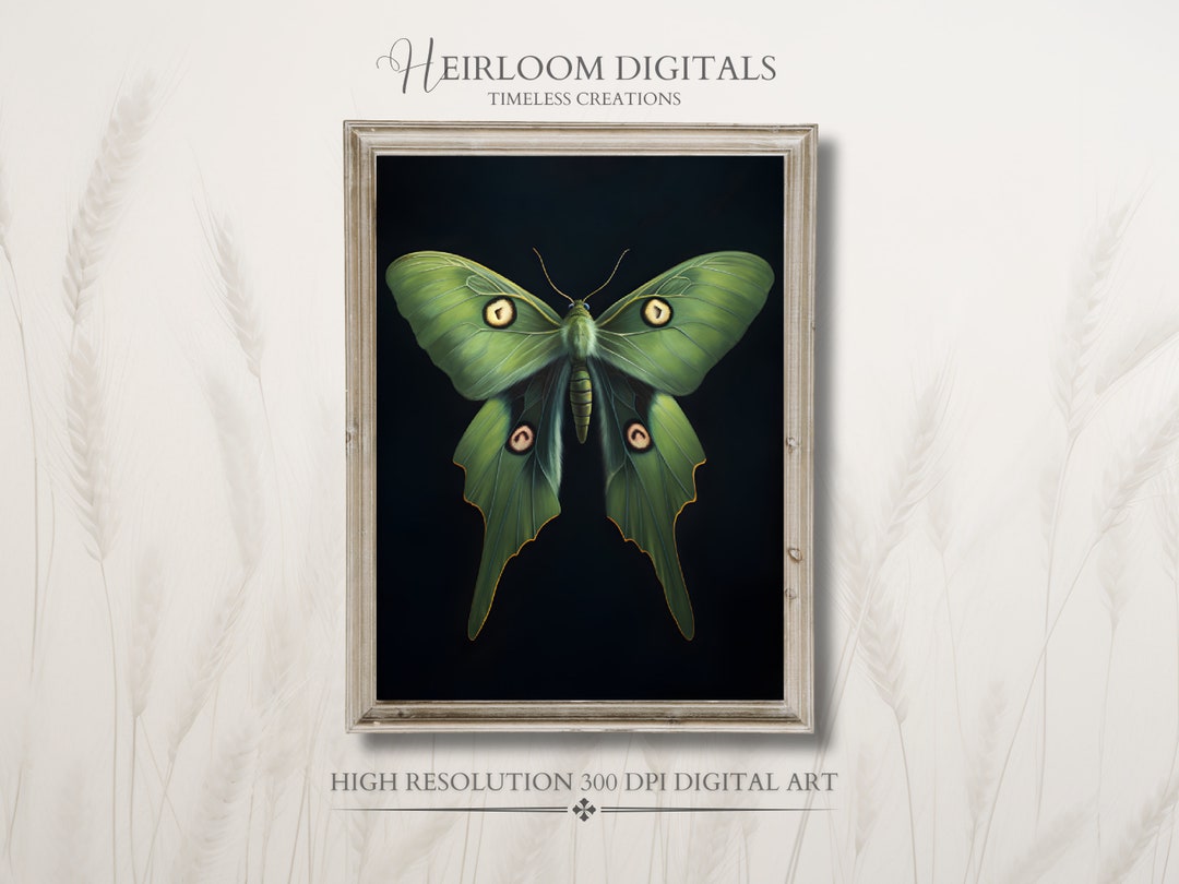 Luna Moth DIGITAL Art Print, Dark Aesthetic Decor, Dark Academia Moth ...