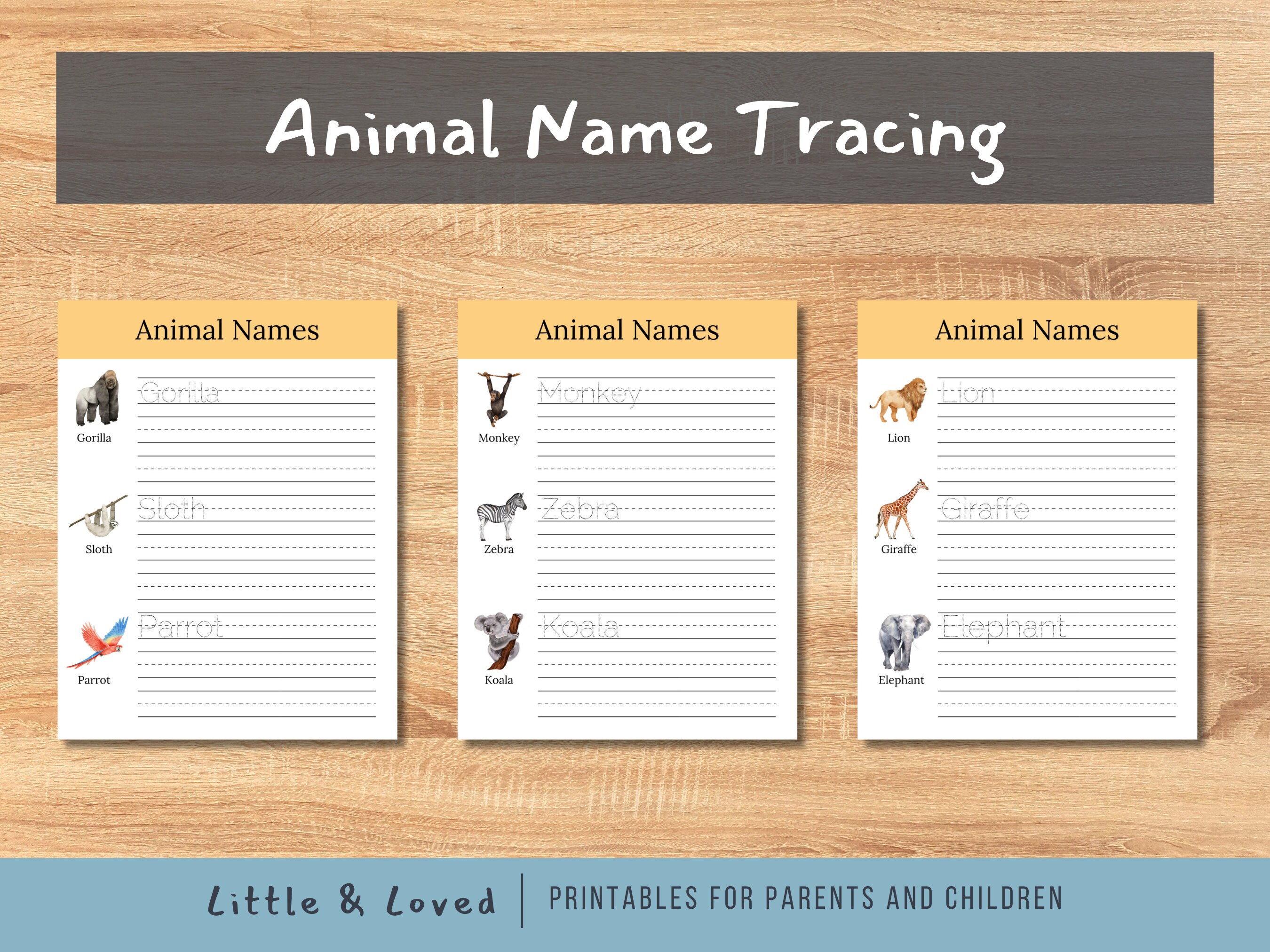 Zoo Animal Themed Worksheets and Activities for Preschoolers