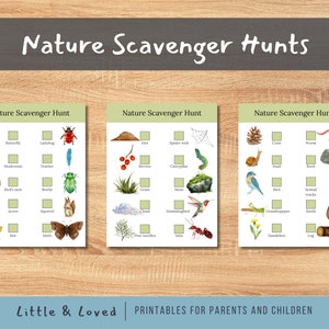Nature Journal Pages for Kids, Homeschool Printables, Nature Study ...