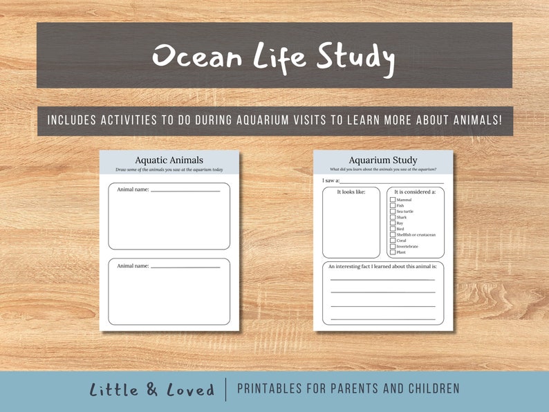 Ocean Life Themed Preschool, Kindergarten, and First Grade Worksheets ...