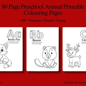 Canadian Animals Coloring & Activity Book PDF | 80 Pages Kids Printable