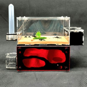 Ant tank/Ant farm - Stand Nest H03 - Full Option - New Version