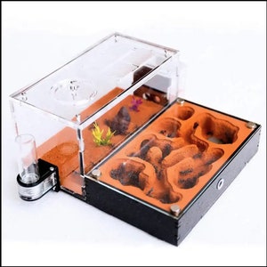 Ant breeding formicarium ant colony nest - DD02 - Full Option