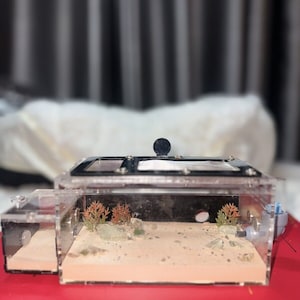 Ant tank/Ant farm - Nest N03 - Full Option