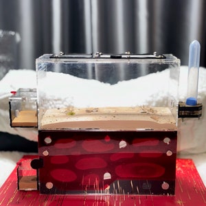 Ant tank/Ant farm - Nest D03 - Max option