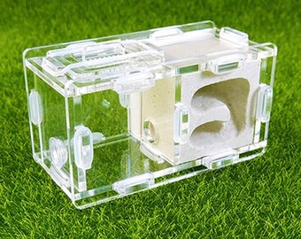 Ant tank/Ant farm - Nest ALI04 - White