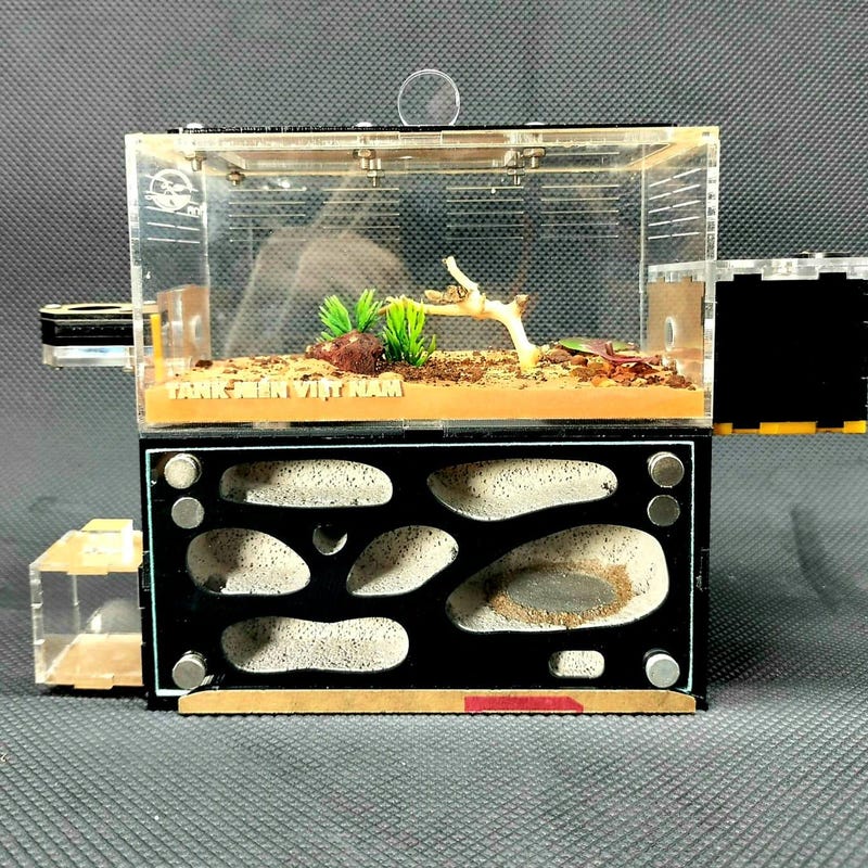 Ant Farm Enclosures - Etsy