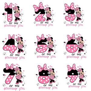Custom Minnie Mouse Birthday Girl Sweatshirt, Disney Trip Shirt image 2