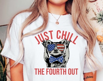 Funny 4th Of July Shirt, Chill The 4th Out Tee, Red White Blue Popsicles, Retro Summer Tshirt Fourth of July Gift Patriotic Shirt