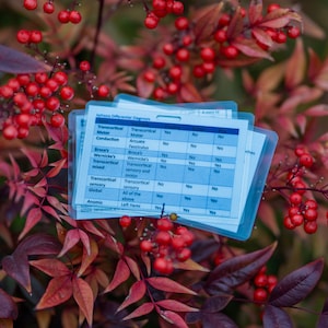 May include: A blue laminated card with a table listing different types of aphasia and their characteristics. The card is lying on a bush with red berries and dark green leaves.