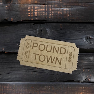 Pound Town Ticket | MDF | Valentines Gift | Birthday Gift | Naughty Coupon | Sex Ticket | Funny Gift | Gift for Husband | Gift for Wife