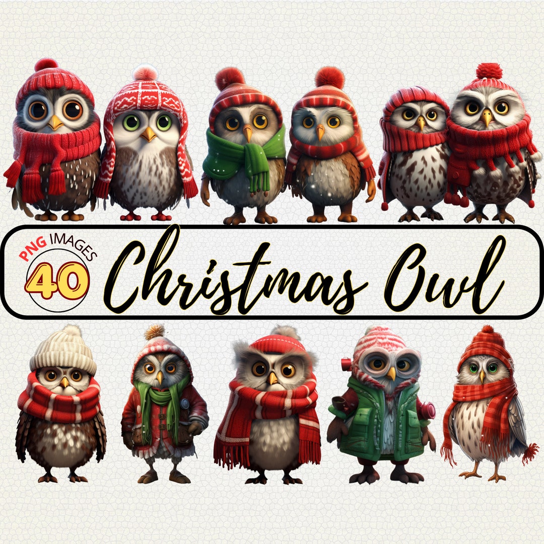 Cute Christmas Owl Clipart Bundle Christmas Clipart, Christmas Owl PNG