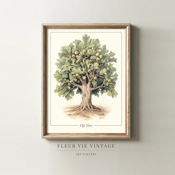 Vintage Fig Tree Art | PRINTABLE Wall Art | Fig Print | Fig Drawing