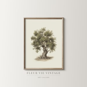 Muted Olive Tree Printable Wall Art: Digital Download Painting for Home Decor