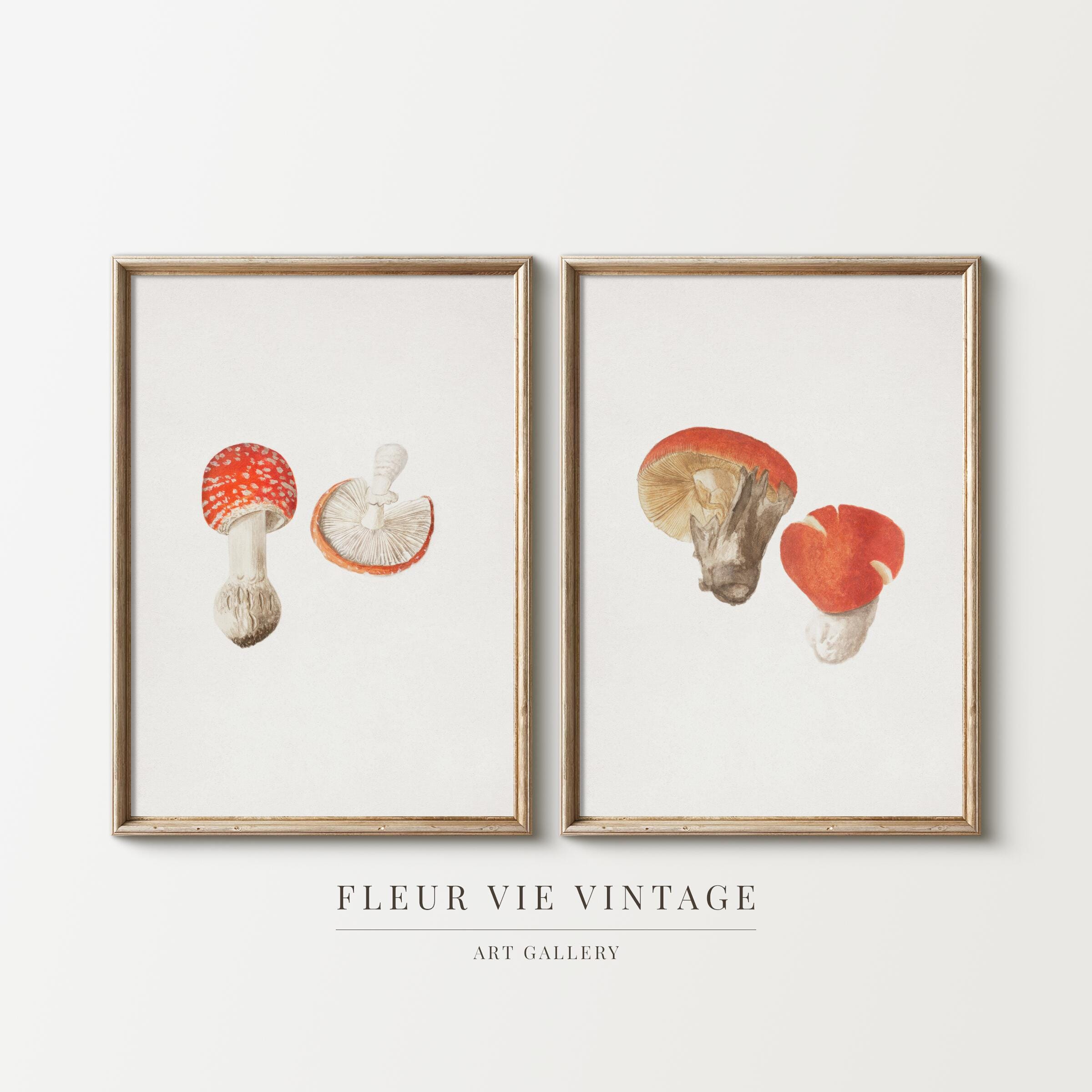 Vintage Mushroom Botanical Prints: Set of 2 Printable Wall Art for Nature Lovers Cottage Illustration