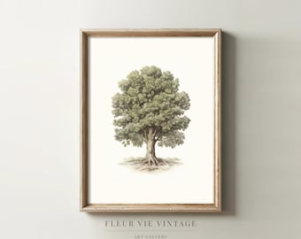 Vintage Fig Tree Art | PRINTABLE Wall Art | Fig Print | Fig Drawing