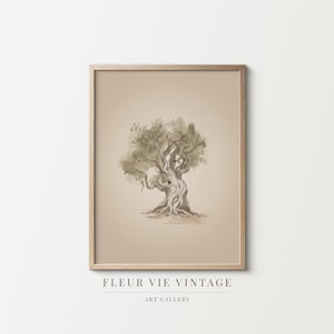 Olivenbaum Bleistift Skizze: Druckbare Kunst | Botanische Zeichnung Digitaler Download | Natur Poster
