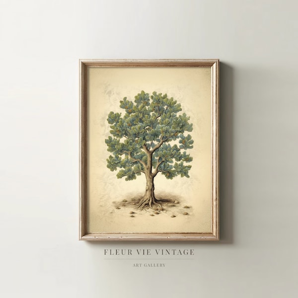 Vintage Fig Tree Art | PRINTABLE Wall Art | Fig Print | Fig Drawing