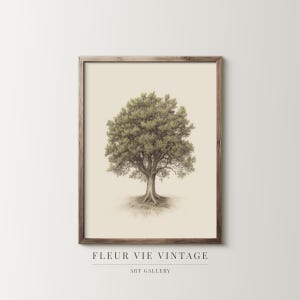Timeless Oak Illustration: Vintage Botanical Nature Poster, Digital Art Print, Classic Tree Drawing