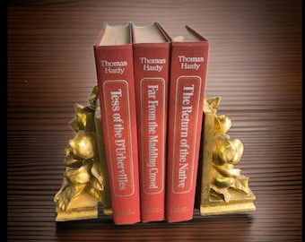 Thomas Hardy Classic Hardcover Books • Red Decorative Library Set