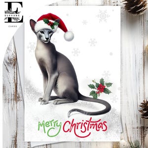 Chat oriental coiffé d'un chapeau de Noël. Joyeux Noël. Une carte de Noël amusante pour tous les amoureux des chats de tous âges, à personnaliser - A5, 6 x A6