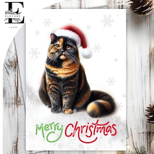 Chat écaille de tortue coiffé d'un chapeau de Noël. Joyeux Noël. Une carte de Noël amusante pour les amoureux des chats de tous âges, à personnaliser au format A5, 6 x A6