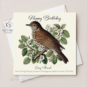 Zorzal común en Hawthorne / Acuarela de un pájaro colorido de los bosques del Reino Unido Tarjeta de felicitación / Impresión de póster / Verso / 6x6 8x8 Deluxe Alta calidad
