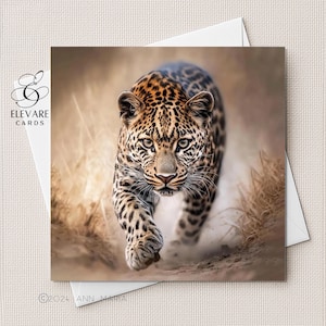Cheetah, Large Cat Portrait, Wild Animals | Blank Card | Poster | Any Occasion, Personalised For Him | Her. Any Age Sizes 6x6 8x8 6 5x5 Bulk