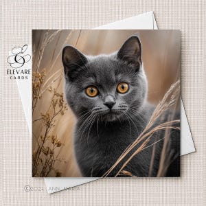 Aquarelle de chat à poil court bleu britannique, portrait de chaton | Carte | affiche | Amoureux des chats. Elle, lui, options personnalisées | 6 x 6 8 x 8 11,5 x 11,5 en vrac