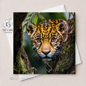 Jaguar Large Cat Portrait, Wild Animals | Blank Card | Poster | Any Occasion, Personalised For Him | Her. Any Age. Sizes 6x6 8x8, 6 5x5 Bulk