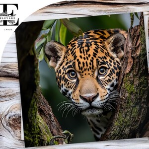 Jaguar portret grote kat, blanco kaart wilde dieren voor elke gelegenheid, kan worden aangepast, voor hem of haar. Elke leeftijd. Maten 6 x 6 8 x 8, 6 5 x 5 bulk