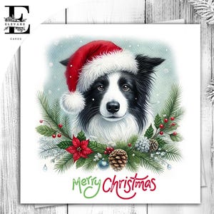Collie de Bordo Usando um Chapéu de Natal. Um Cartão de Natal Divertido Para Todos os Amantes de Cães. Ela ou Ele. Escolha Personalizar 6x6 8x8,6 5x5 Compra em Massa.