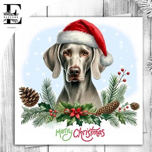 um cão Weimaraner usando um chapéu de Natal. Um cartão de Natal divertido para todos os amantes de cães. Ela ou ele. Escolha personalizar 6x6 8x8,6 5x5 Compra em massa.