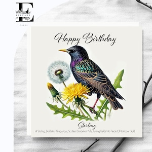 The Starling Bird Painting of UK, Waldwildvogel-Geburtstags-Grußkarte mit Vers. Wählen Sie 6x6 8x8 "Glos Finish Deluxe Top Grade 420gsm