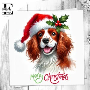 Een rode springerspaniël-kerstkaart, leuke huisdierenkaart, met een kerstmuts voor hondenliefhebbers, haar hem. Kies om aan te passen 6 x 6 8 x 8,6 5 x 5 bulk kopen
