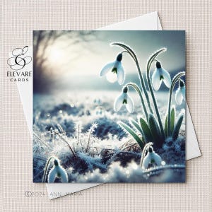 Schneeglöckchen Karte. Januar Crisp Morning Foto Kunst Portrait Blanko Geburtstagskarte | Poster - Personalisiert für Sie, Ihn.  6x6 8x8,6 5x5 Große Kaufen