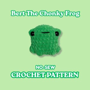 Frog Crochet Pattern | No-Sew Amigurumi Plush English PDF | Bert the Chonky Frog
