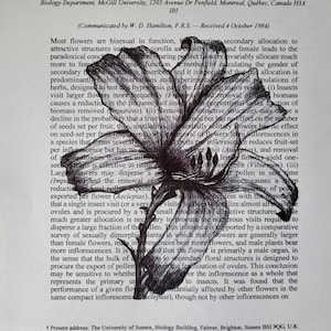 Fine line drawings