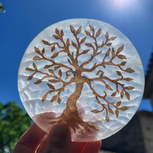 May include: A round, clear resin coaster with a detailed wooden tree design. The tree has a brown trunk and branches with leaves. The coaster is held up against a bright blue sky, showcasing the intricate details of the artwork.