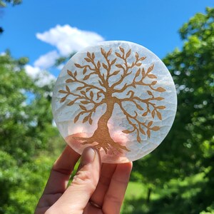 May include: A round, light blue coaster with a tree of life design etched in brown. The coaster is held up against a backdrop of a bright blue sky and green foliage.