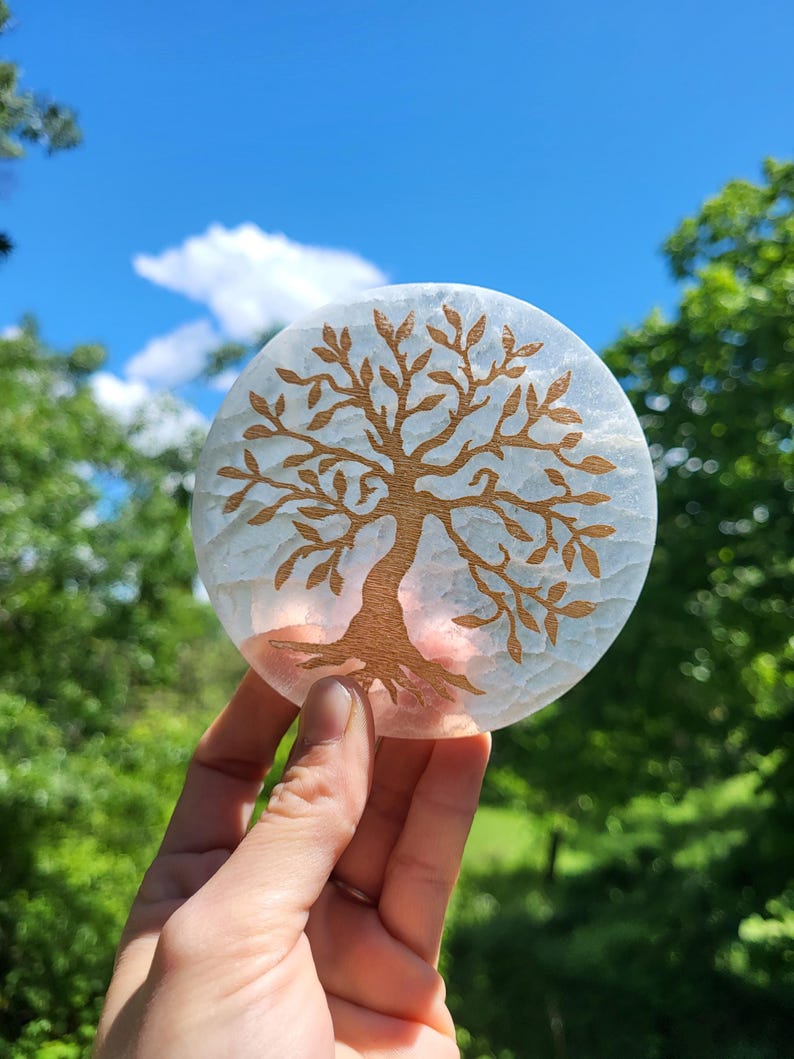May include: A round, light blue coaster with a tree of life design etched in brown. The coaster is held up against a backdrop of a bright blue sky and green foliage.